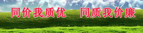 子頁面廣告位二